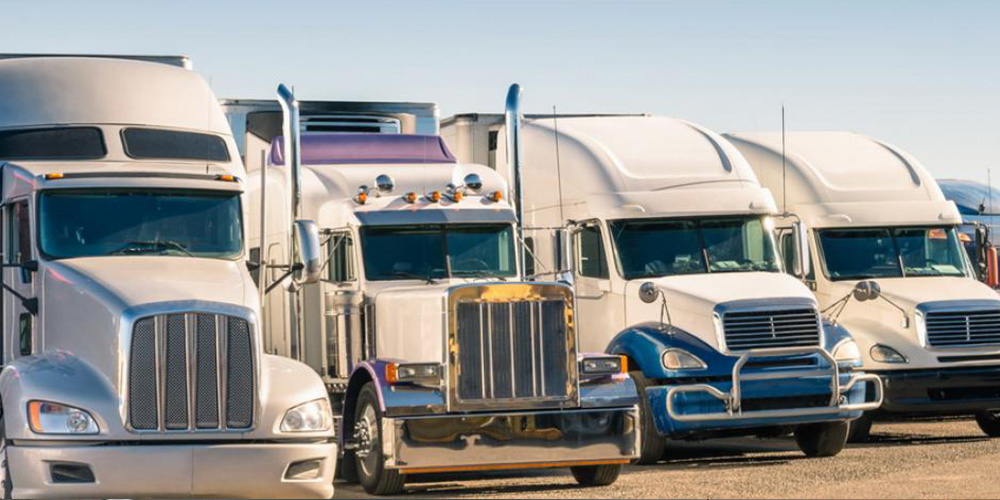 benefits would you avail if you become a Road Dogs customer