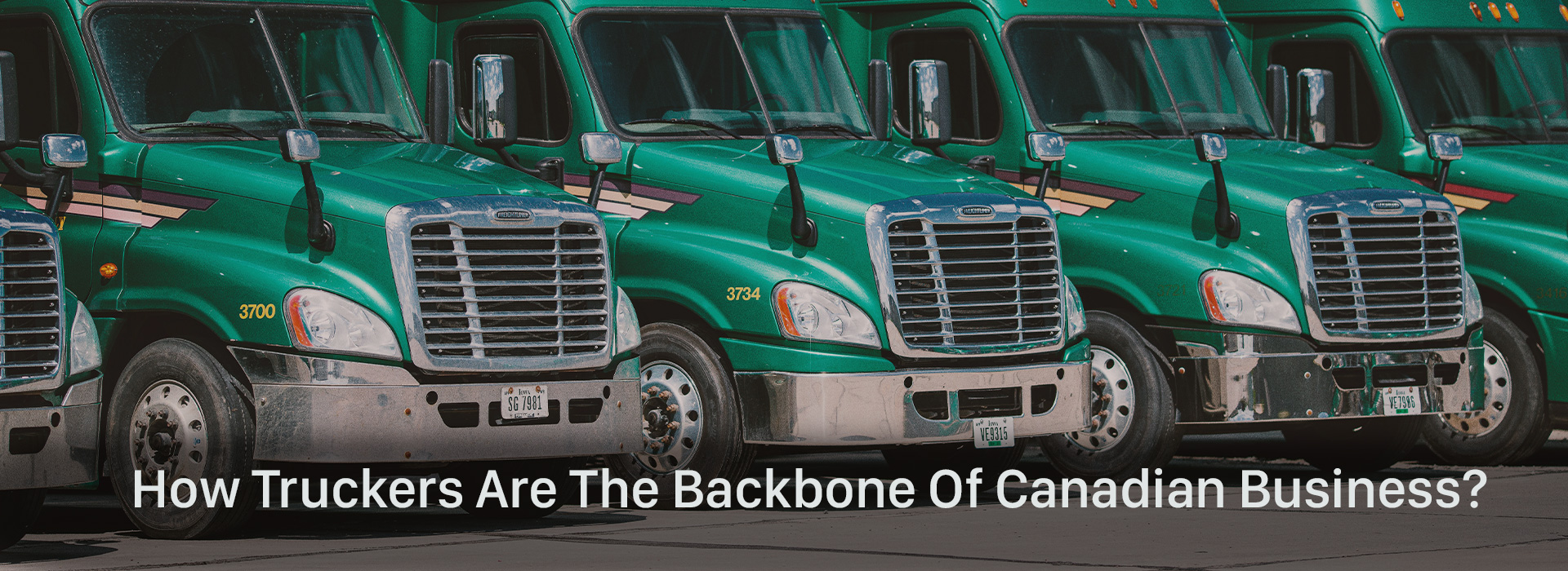 How Truckers Are The Backbone Of Canadian Business